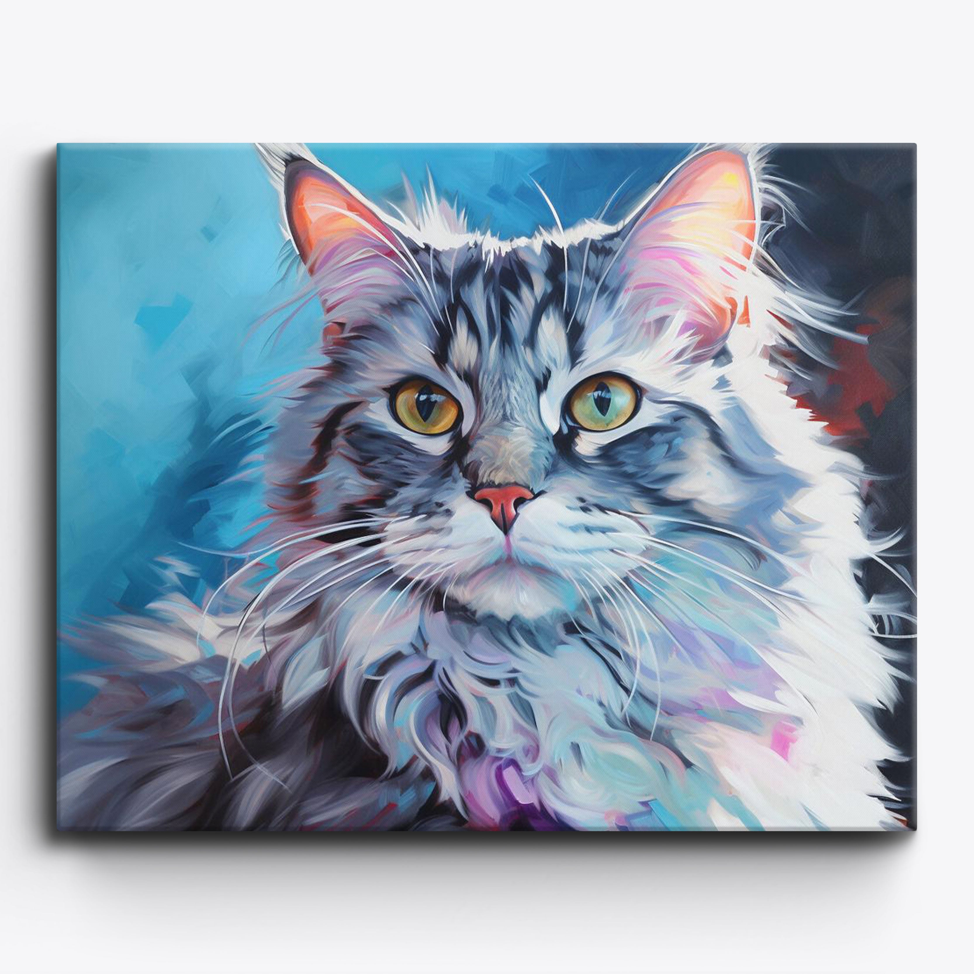 American Curl Cat No 1